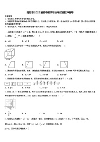 简阳市2025届初中数学毕业考试模拟冲刺卷含解析