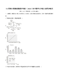 初中沪科版（2024）用统计图描述数据精品课后作业题