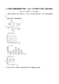 初中沪科版（2024）用统计图描述数据精品课后作业题