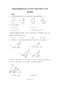 2024-2025学年度四川省绵阳市绵阳东辰学校七年级下学期6月月考数学试卷
