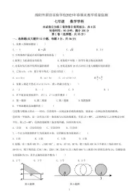 2024-2025学年度四川省绵阳市绵阳外国语学校七年级下学期期末考试数学试卷