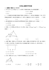 广东省深圳市2025年九年级上册数学月考试卷附答案