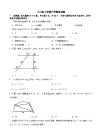 浙江省湖州2025年九年级上学期月考数学试题附答案