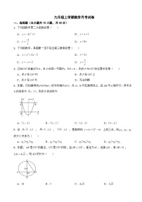 浙江省绍兴市2025年九年级上学期数学月考试题附答案