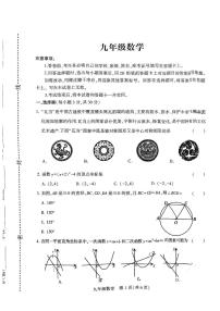 河南省许昌市襄城县2024-2025学年九年级上学期11月期中考试数学试题