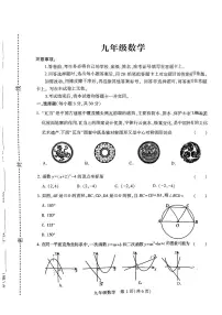 河南省许昌市襄城县2024-2025学年九年级上学期11月期中考试数学试题