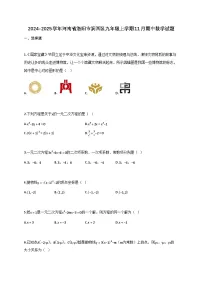 2024_2025学年河南省洛阳市涧西区九年级上册11月（期中）数学试题【附答案】