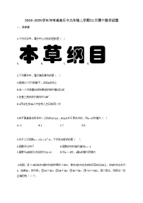 2024_2025学年河南省商丘市九年级上册11月（期中）数学试题【附答案】