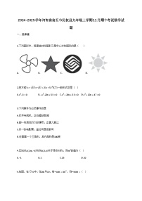 2024_2025学年河南省商丘市民权县九年级上册11月（期中）考试数学试题【附答案】