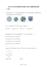 2024_2025学年河南省漯河市召陵区九年级上册期中数学试题【附答案】