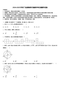2024-2025学年广东省梅州市丰顺县中考五模数学试题含解析
