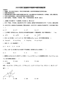 2025年浙江省温州市平阳县中考数学四模试卷含解析