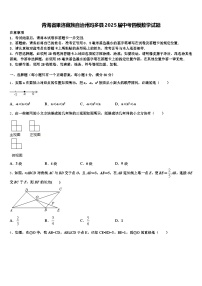 青海省果洛藏族自治州玛多县2025届中考四模数学试题含解析