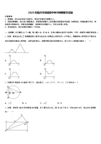 2025年临沂市郯城县中考冲刺卷数学试题含解析