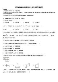 辽宁省抚顺市东洲区2025年中考数学模试卷含解析