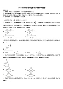 2024-2025学年阿勒泰市中考数学押题卷含解析