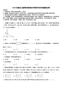 2025年黑龙江省伊春市新青区中考数学对点突破模拟试卷含解析