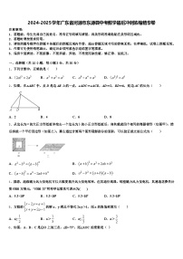 2024-2025学年广东省河源市东源县中考数学最后冲刺浓缩精华卷含解析