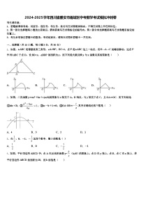2024-2025学年四川省雅安市雨城区中考数学考试模拟冲刺卷含解析