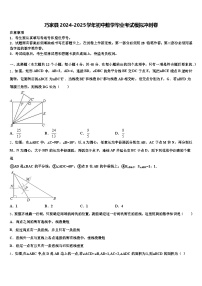 巧家县2024-2025学年初中数学毕业考试模拟冲刺卷含解析