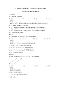 广西南宁市西乡塘区2024-2025学年八年级下学期期末考试数学试卷（解析版）
