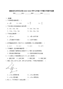 湖南省长沙市长沙县2023-2024学年七年级下学期6月月考数学试卷(含解析)