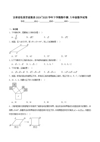 吉林省松原市前郭县2024-2025学年八年级下学期期中测试数学试卷(含解析)