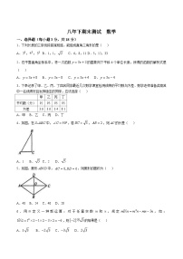 吉林省长春市2024-2025学年八年级下学期期末测试数学试卷(含答案)