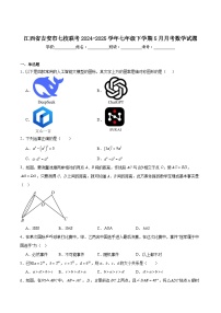 江西省吉安市七校联考2024-2025学年七年级下学期5月月考数学试卷(含解析)