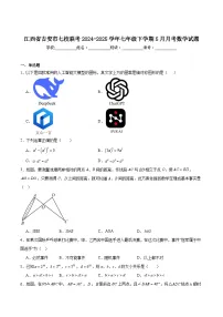 江西省吉安市七校联考2024-2025学年七年级下学期5月月考数学试卷(含解析)