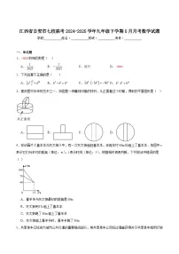江西省吉安市七校联考2025届九年级下学期5月月考数学试卷(含解析)