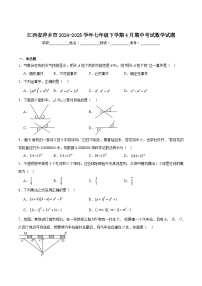 江西省萍乡市2024-2025学年七年级下学期4月期中考试数学试卷(含解析)
