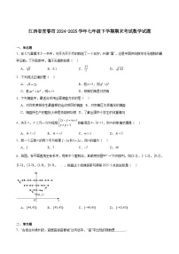 江西省宜春市2024-2025学年七年级下学期期末考试数学试卷(含解析)