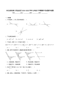 河北省张家口市宣化区2024-2025学年七年级下学期期中考试数学试卷(含解析)