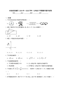 河南省济源市2024年-2025学年七年级下学期期中考试数学试卷(含解析)