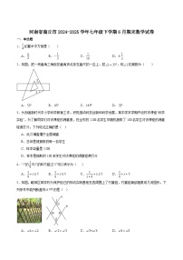 河南省商丘市2024-2025学年七年级下学期6月期末考试数学试卷(含解析)