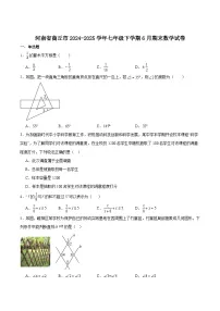 河南省商丘市2024-2025学年七年级下学期6月期末考试数学试卷(含解析)