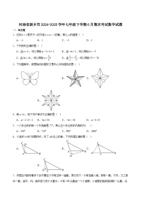河南省新乡市2024-2025学年七年级下学期6月期末考试数学试卷(含解析)