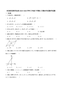 河南省信阳市息县2024-2025学年八年级下学期6月期末数学试卷(含解析)