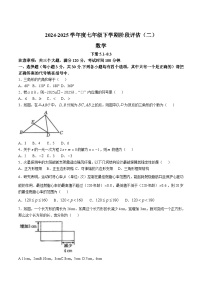 河南省驻马店市泌阳县二校联考2024-2025学年七年级下学期6月月考数学试卷(含答案)