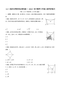 初中数学青岛版（2024）八年级上册（2024）第2章 全等三角形2.2 三角形全等的判定优秀课时练习