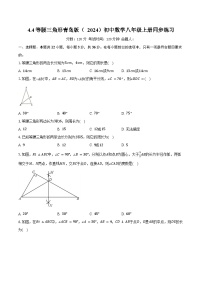 数学八年级上册（2024）第4章 图形的轴对称4.4 等腰三角形精品巩固练习