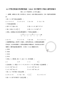 初中数学青岛版（2024）八年级上册（2024）6.2 不等式的基本性质精品练习
