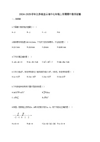 2024_2025学年江苏省连云港市七年级上册期中数学试题【附答案】