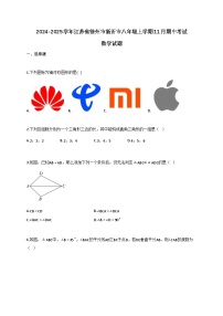 2024_2025学年江苏省徐州市新沂市八年级上册11月（期中）考试数学试题【附答案】