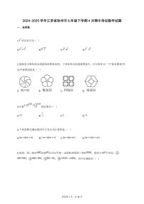 2024~2025学年江苏省徐州市七年级下学期4月期中考试数学试题（含答案）