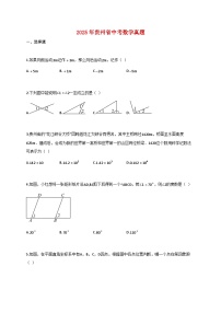 2025年贵州省中考数学真题【附答案】