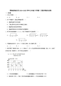 青海省海东市2024-2025学年七年级下学期7月期末数学试卷(含解析)
