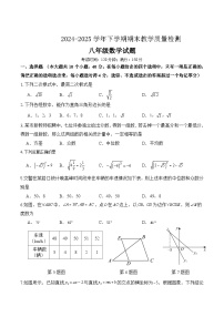 山东省德州市齐河县2024-2025学年八年级下学期期末检测数学试卷(含答案)