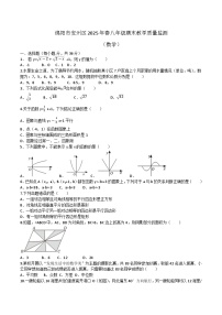 四川省绵阳市安州区2024-2025学年八年级下学期6月期末数学试卷(含答案)